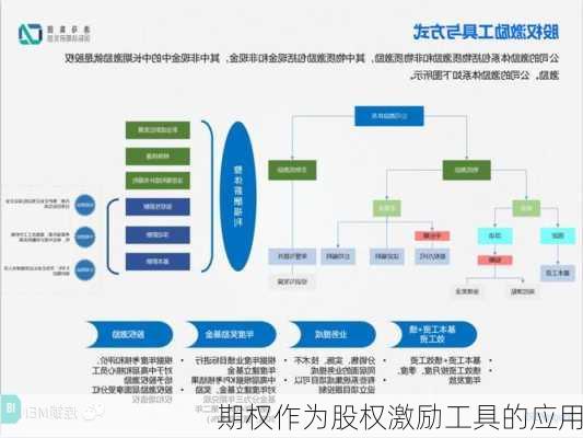 期权作为股权激励工具的应用