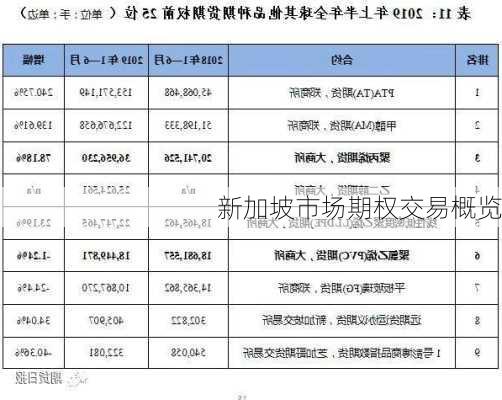 新加坡市场期权交易概览