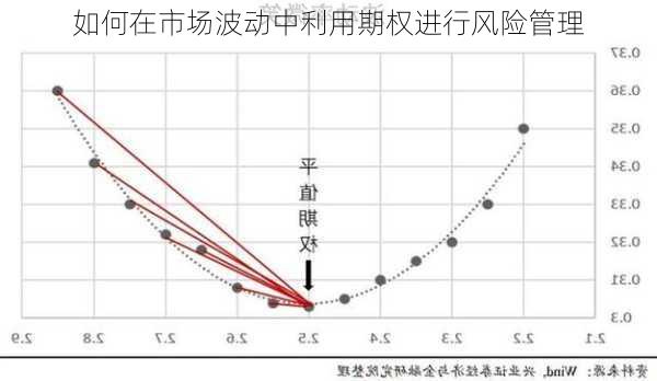 如何在市场波动中利用期权进行风险管理