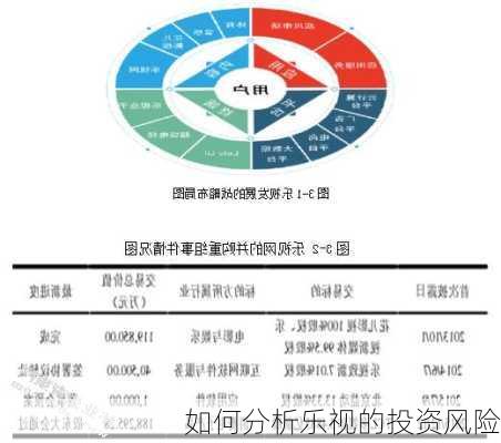 如何分析乐视的投资风险