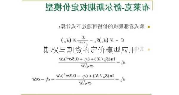 期权与期货的定价模型应用