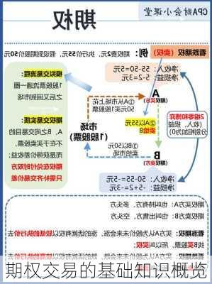 期权交易的基础知识概览