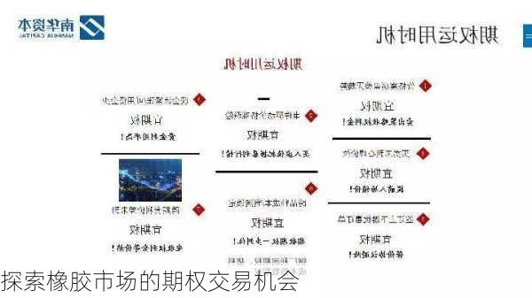 探索橡胶市场的期权交易机会