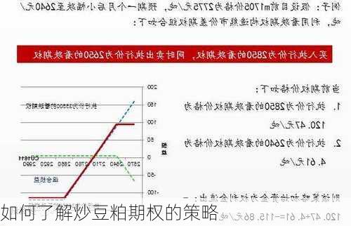 如何了解炒豆粕期权的策略