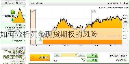 如何分析黄金现货期权的风险