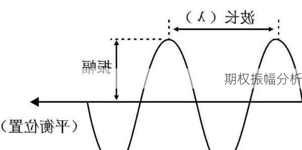 期权振幅分析