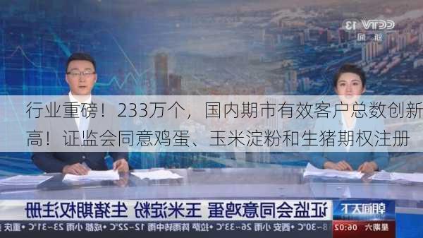 行业重磅！233万个，国内期市有效客户总数创新高！证监会同意鸡蛋、玉米淀粉和生猪期权注册