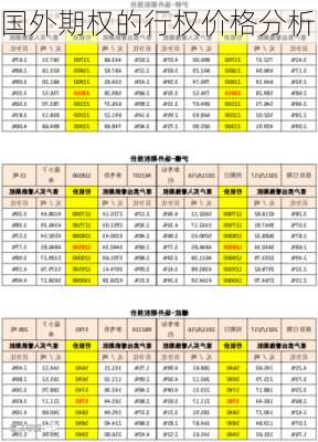 国外期权的行权价格分析