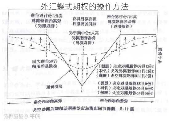 外汇蝶式期权的操作方法