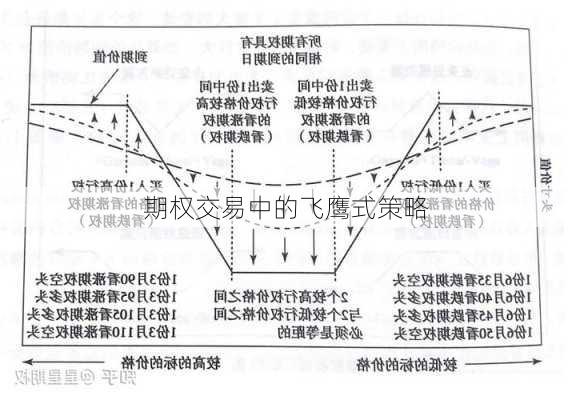 期权交易中的飞鹰式策略