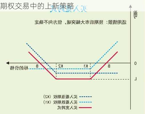 期权交易中的上新策略