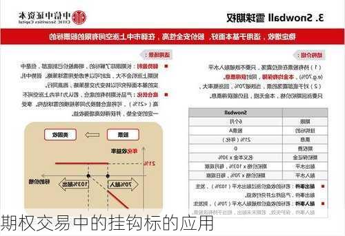 期权交易中的挂钩标的应用