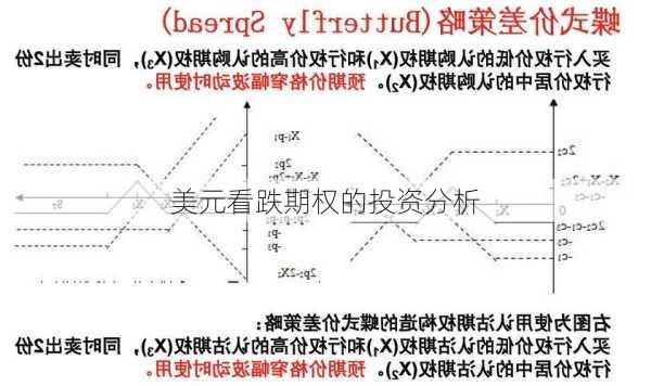 美元看跌期权的投资分析