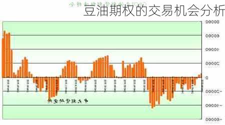 豆油期权的交易机会分析