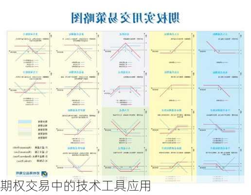 期权交易中的技术工具应用