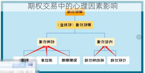 期权交易中的心理因素影响