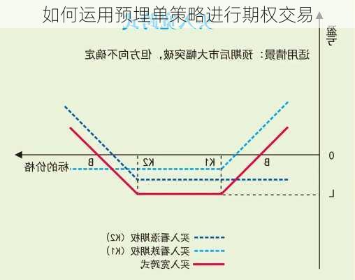 如何运用预埋单策略进行期权交易