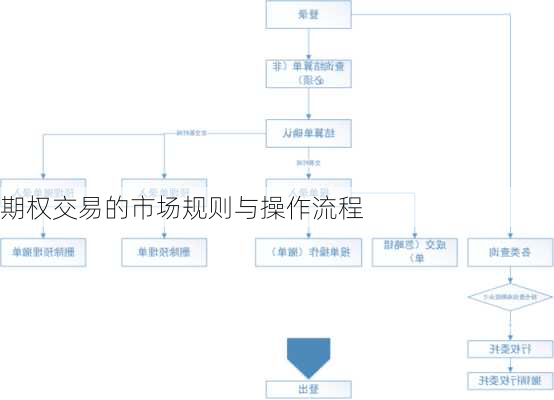 期权交易的市场规则与操作流程