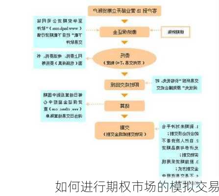 如何进行期权市场的模拟交易