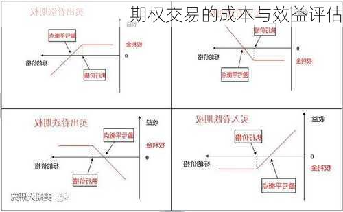 期权交易的成本与效益评估