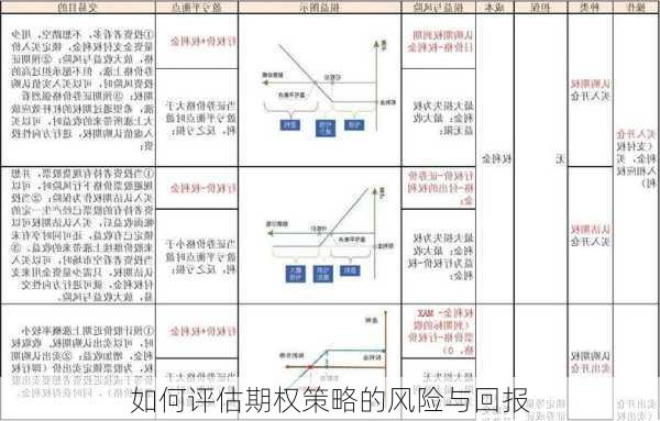 如何评估期权策略的风险与回报