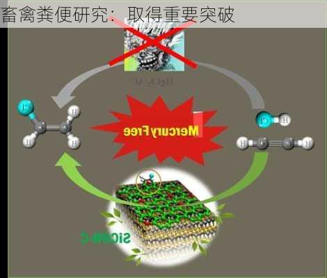 畜禽粪便研究：取得重要突破