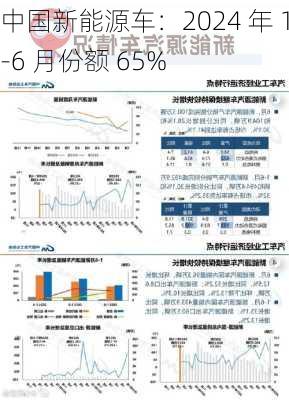 中国新能源车：2024 年 1-6 月份额 65%