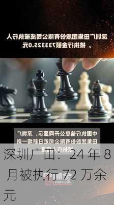 深圳广田：24 年 8 月被执行 72 万余元