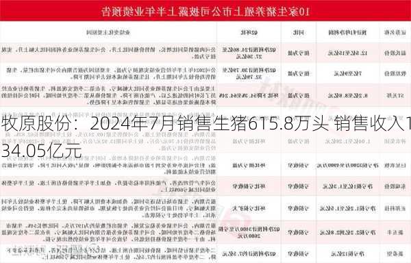 牧原股份：2024年7月销售生猪615.8万头 销售收入134.05亿元