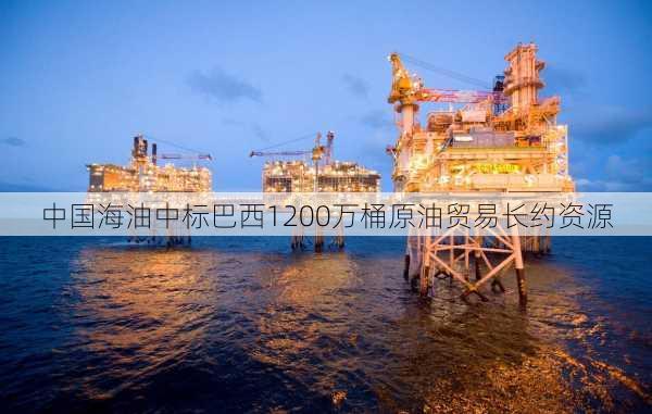 中国海油中标巴西1200万桶原油贸易长约资源