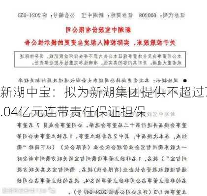 新湖中宝：拟为新湖集团提供不超过7.04亿元连带责任保证担保