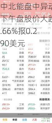 中北能盘中异动 下午盘股价大跌6.66%报0.290美元