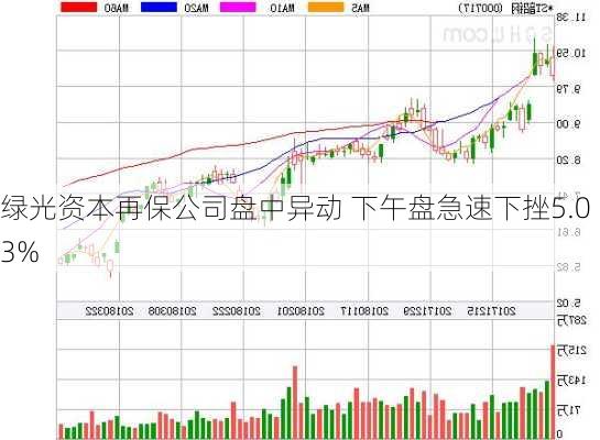 绿光资本再保公司盘中异动 下午盘急速下挫5.03%