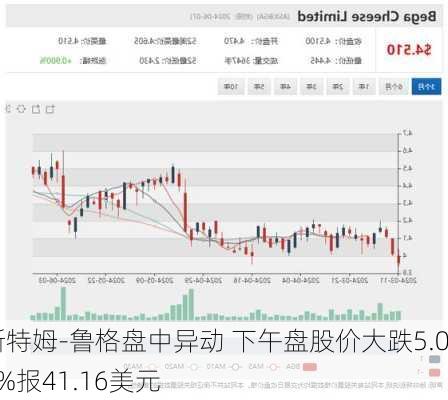 斯特姆-鲁格盘中异动 下午盘股价大跌5.03%报41.16美元