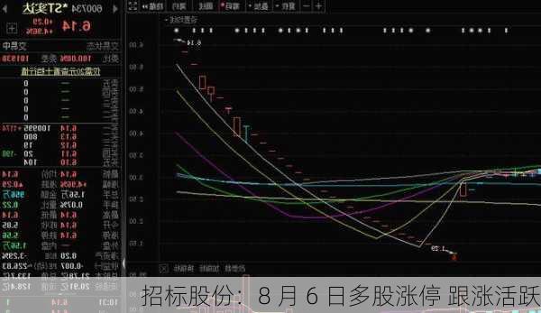 招标股份：8 月 6 日多股涨停 跟涨活跃