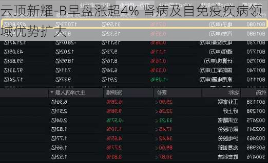 云顶新耀-B早盘涨超4% 肾病及自免疫疾病领域优势扩大