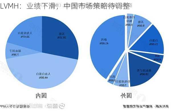 LVMH：业绩下滑，中国市场策略待调整