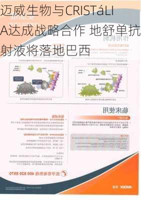 迈威生物与CRISTáLIA达成战略合作 地舒单抗注射液将落地巴西