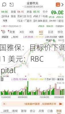 美国雅保：目标价下调至 111 美元：RBCCapital