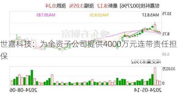 世嘉科技：为全资子公司提供4000万元连带责任担保