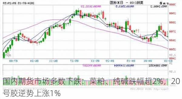 国内期货市场多数下跌：菜粕、纯碱跌幅超2%，20号胶逆势上涨1%