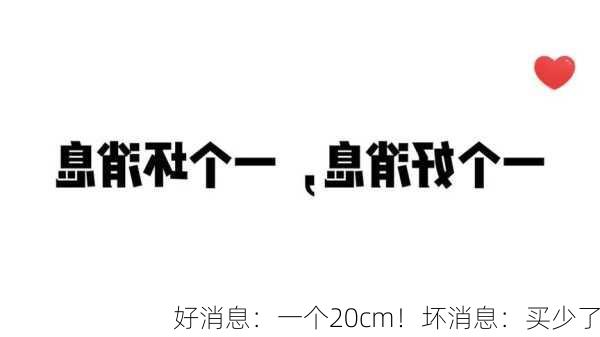 好消息：一个20cm！坏消息：买少了