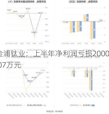 金浦钛业：上半年净利润亏损2000.07万元