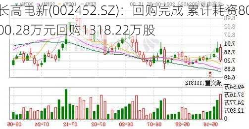 长高电新(002452.SZ)：回购完成 累计耗资8000.28万元回购1318.22万股