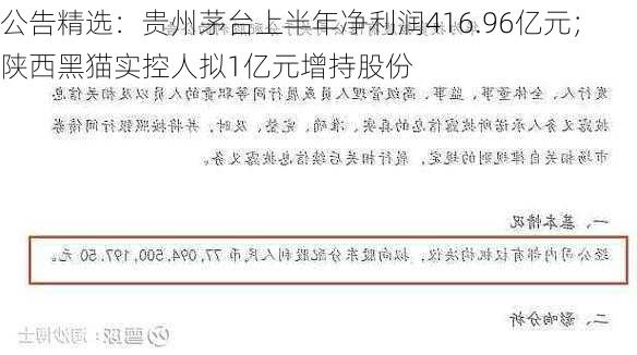 公告精选：贵州茅台上半年净利润416.96亿元；陕西黑猫实控人拟1亿元增持股份