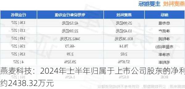 燕麦科技：2024年上半年归属于上市公司股东的净利润约2438.32万元