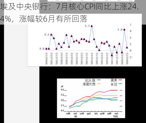 埃及中央银行：7月核心CPI同比上涨24.4%，涨幅较6月有所回落