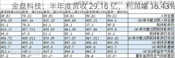 金盘科技：半年度营收 29.16 亿，利润增 16.43%