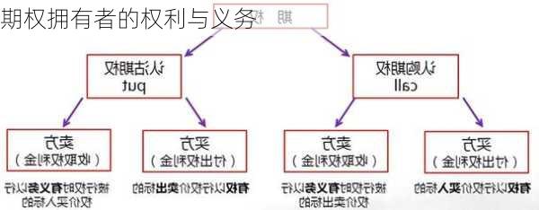 期权拥有者的权利与义务