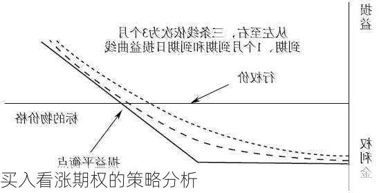 买入看涨期权的策略分析